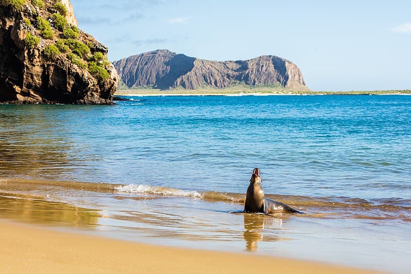 Hotels in Galapagos Islands