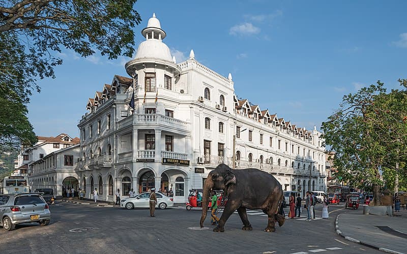 Hotels in Kandy